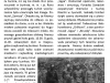 wkładka 3
